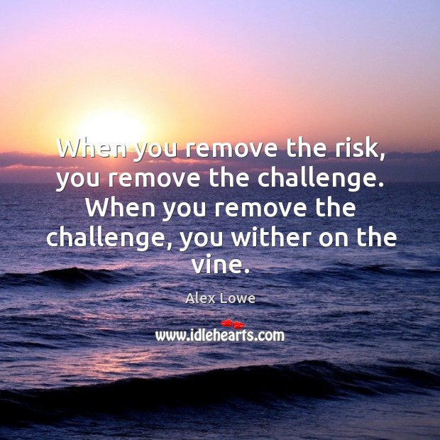 When you remove the risk, you remove the challenge. Alex Lowe Picture Quote