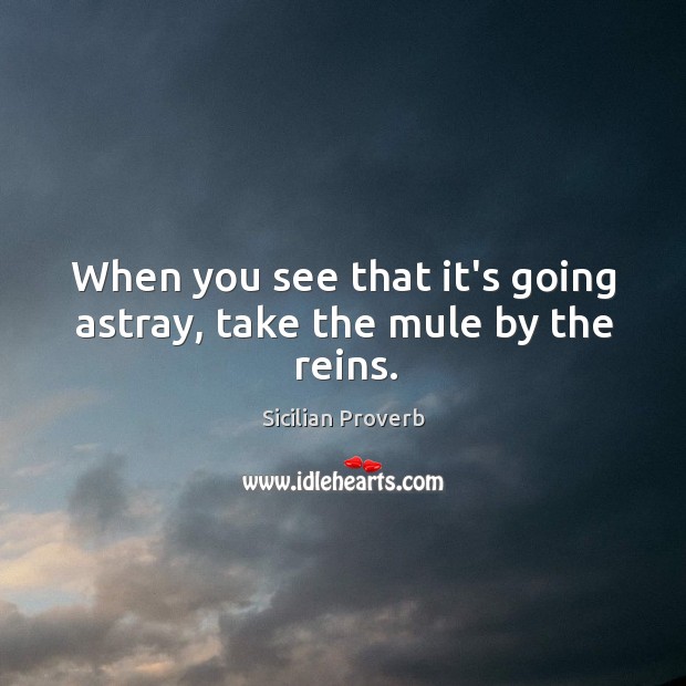 When you see that it’s going astray, take the mule by the reins. Sicilian Proverbs Image