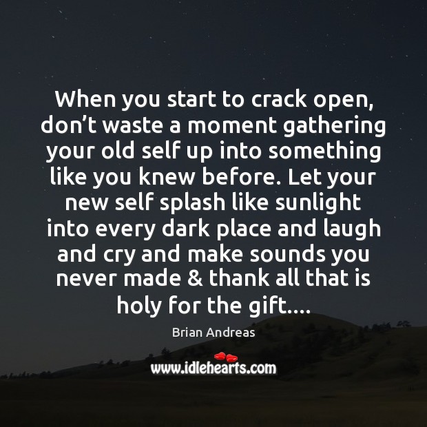 When you start to crack open, don’t waste a moment gathering Brian Andreas Picture Quote