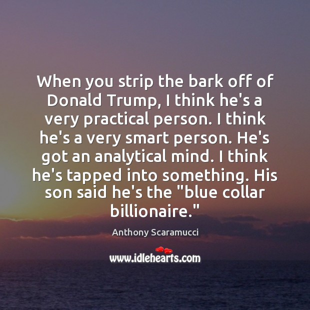 When you strip the bark off of Donald Trump, I think he’s Anthony Scaramucci Picture Quote