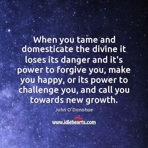 When you tame and domesticate the divine it loses its danger and John O’Donohue Picture Quote