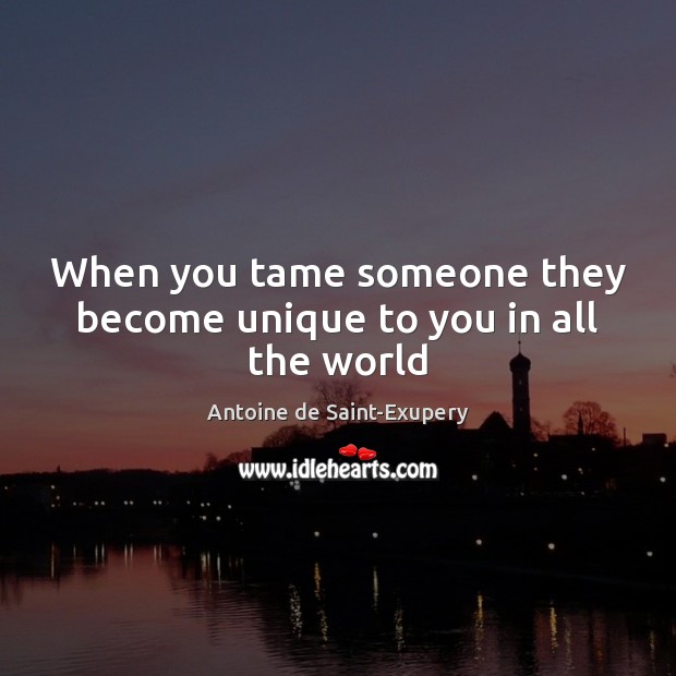 When you tame someone they become unique to you in all the world Antoine de Saint-Exupery Picture Quote