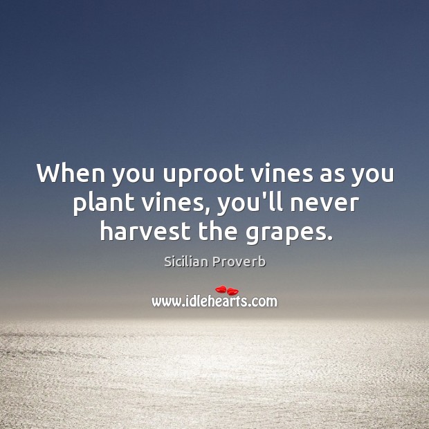 When you uproot vines as you plant vines, you’ll never harvest the grapes. Sicilian Proverbs Image