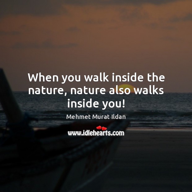 When you walk inside the nature, nature also walks inside you! Mehmet Murat Ildan Picture Quote