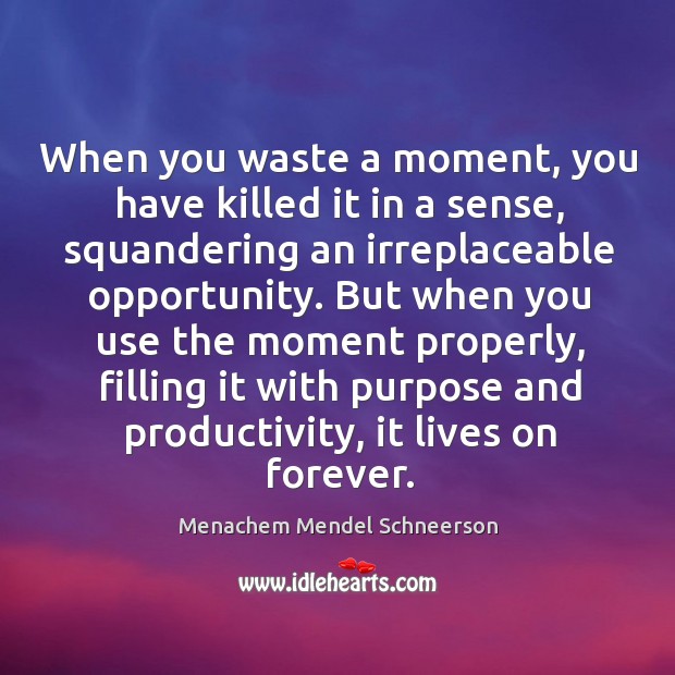 When you waste a moment, you have killed it in a sense, squandering an irreplaceable opportunity. Menachem Mendel Schneerson Picture Quote