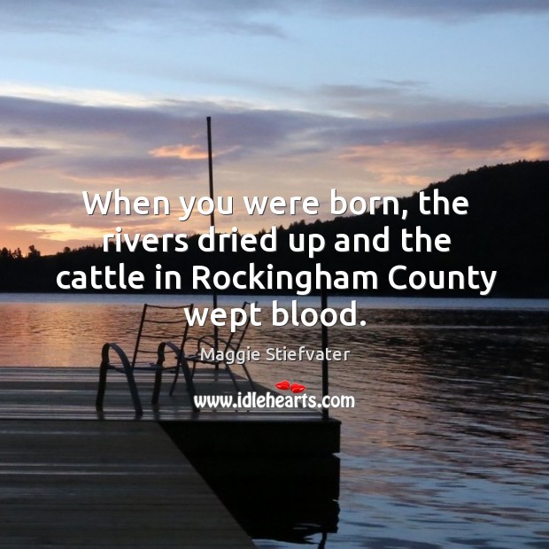 When you were born, the rivers dried up and the cattle in Rockingham County wept blood. Maggie Stiefvater Picture Quote