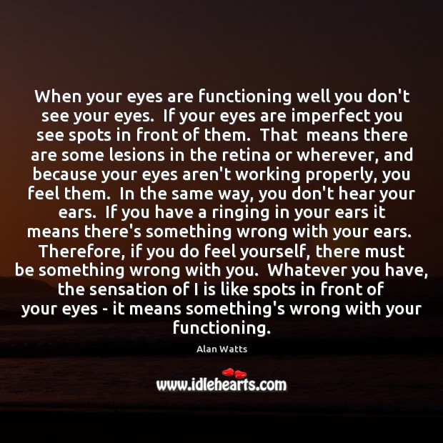 When your eyes are functioning well you don’t see your eyes.  If Alan Watts Picture Quote