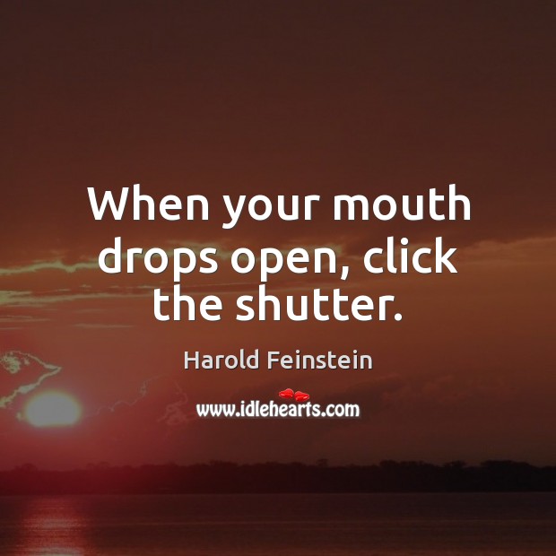 When your mouth drops open, click the shutter. Harold Feinstein Picture Quote