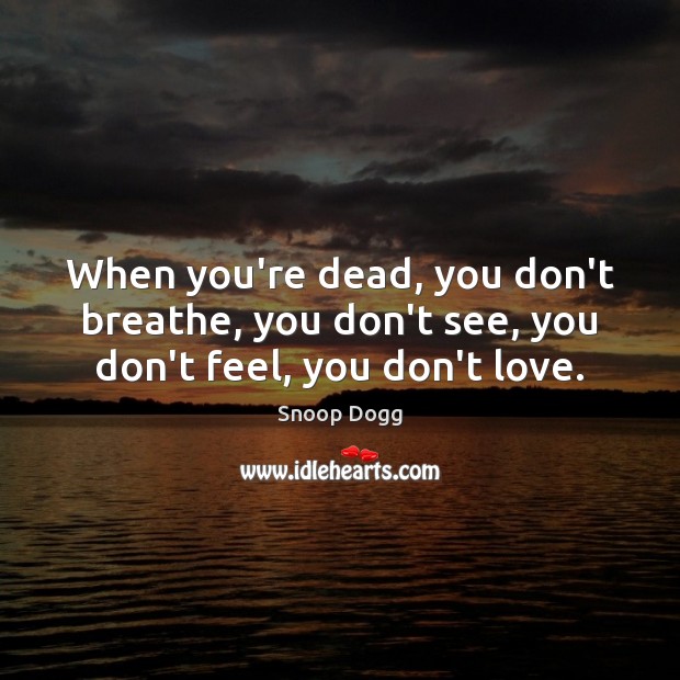 When you’re dead, you don’t breathe, you don’t see, you don’t feel, you don’t love. Snoop Dogg Picture Quote