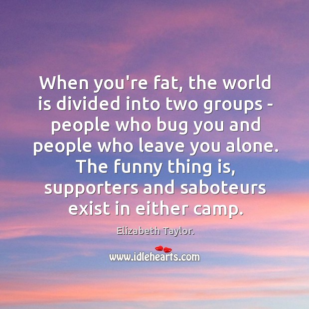 When you’re fat, the world is divided into two groups – people Image