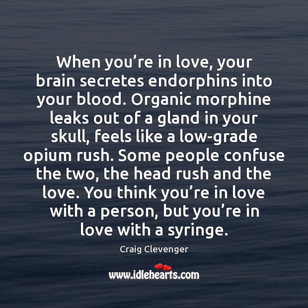 When you’re in love, your brain secretes endorphins into your blood. Image