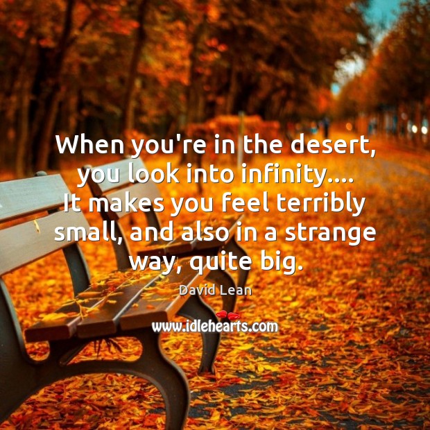 When you’re in the desert, you look into infinity…. It makes you David Lean Picture Quote