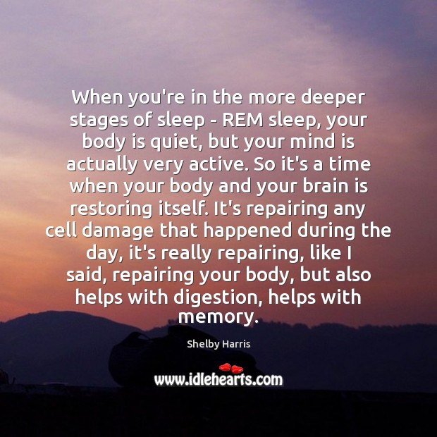 When you’re in the more deeper stages of sleep – REM sleep, Shelby Harris Picture Quote