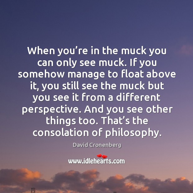 When you’re in the muck you can only see muck. If you somehow manage to float above it David Cronenberg Picture Quote