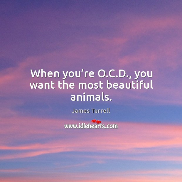 When you’re O.C.D., you want the most beautiful animals. James Turrell Picture Quote