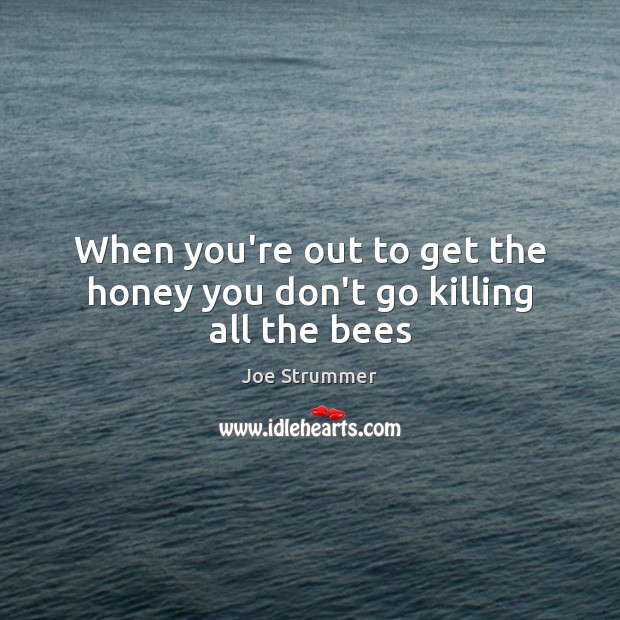 When you’re out to get the honey you don’t go killing all the bees Joe Strummer Picture Quote