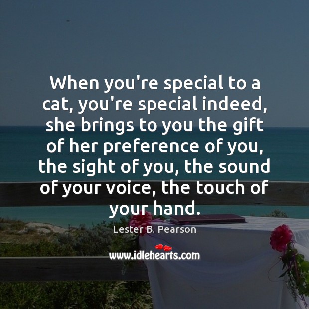 When you’re special to a cat, you’re special indeed, she brings to Lester B. Pearson Picture Quote
