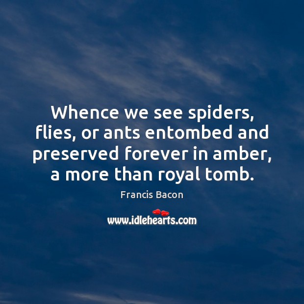 Whence we see spiders, flies, or ants entombed and preserved forever in Francis Bacon Picture Quote