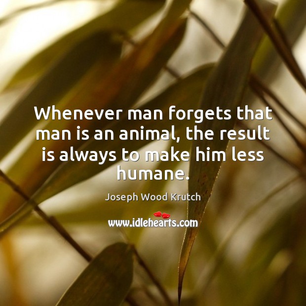 Whenever man forgets that man is an animal, the result is always to make him less humane. Joseph Wood Krutch Picture Quote