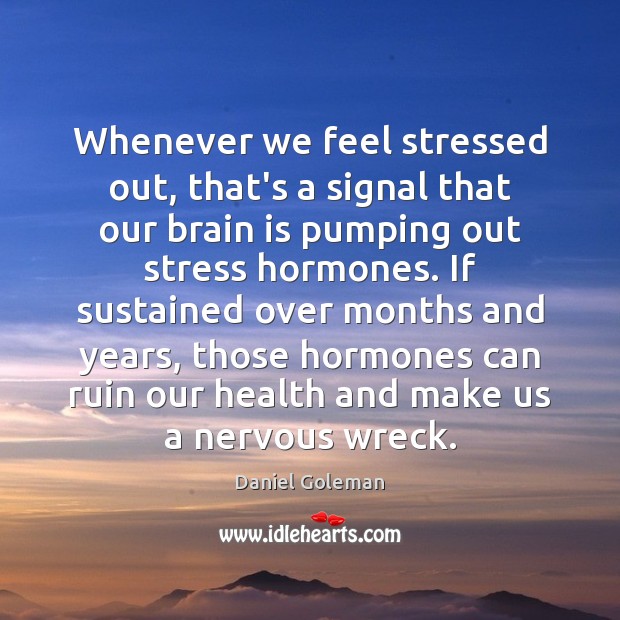 Whenever we feel stressed out, that’s a signal that our brain is Daniel Goleman Picture Quote