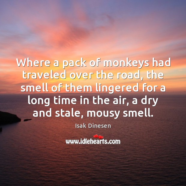 Where a pack of monkeys had traveled over the road, the smell Image