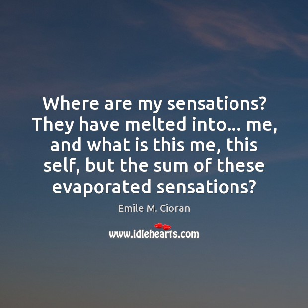 Where are my sensations? They have melted into… me, and what is Emile M. Cioran Picture Quote