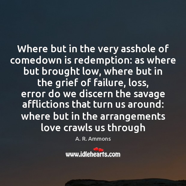 Where but in the very asshole of comedown is redemption: as where A. R. Ammons Picture Quote