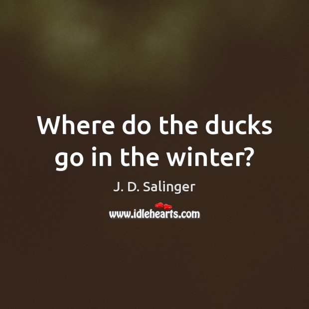 Where do the ducks go in the winter? J. D. Salinger Picture Quote