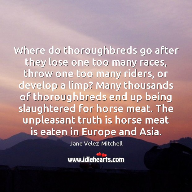 Where do thoroughbreds go after they lose one too many races, throw Jane Velez-Mitchell Picture Quote