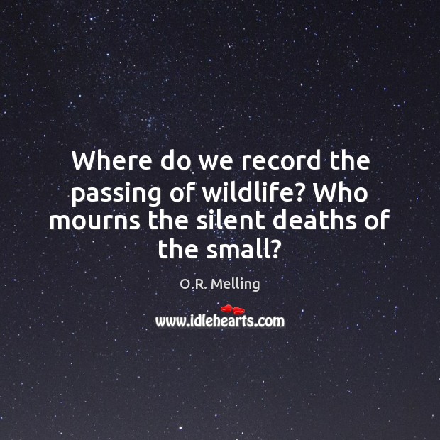 Where do we record the passing of wildlife? Who mourns the silent deaths of the small? O.R. Melling Picture Quote