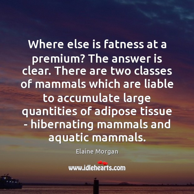 Where else is fatness at a premium? The answer is clear. There Elaine Morgan Picture Quote