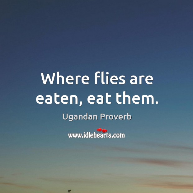 Where flies are eaten, eat them. Ugandan Proverbs Image