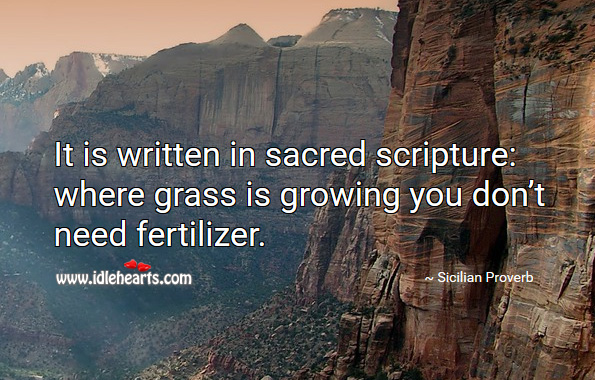 It is written in sacred scripture: where grass is growing you don’t need fertilizer. Sicilian Proverbs Image