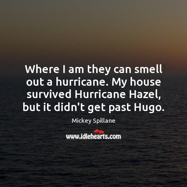 Where I am they can smell out a hurricane. My house survived Mickey Spillane Picture Quote