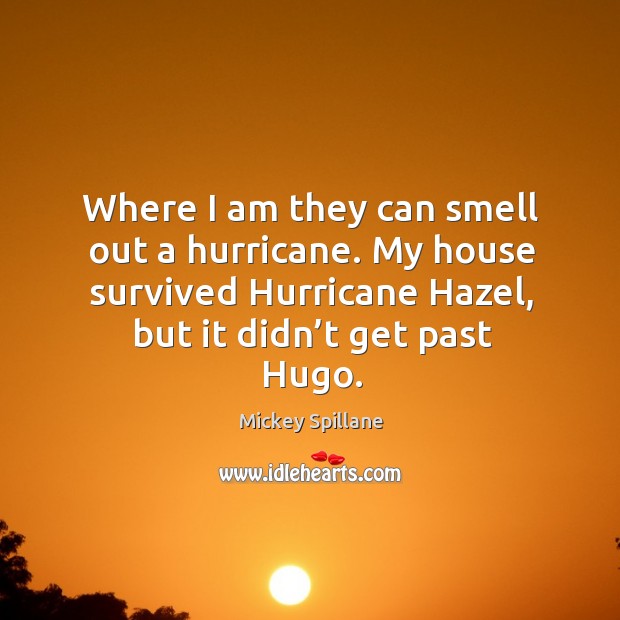 Where I am they can smell out a hurricane. My house survived hurricane hazel, but it didn’t get past hugo. Image
