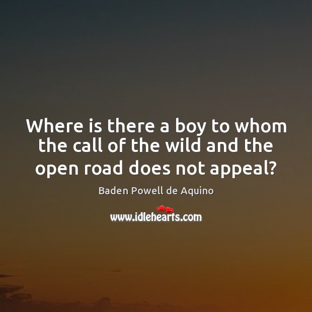 Where is there a boy to whom the call of the wild and the open road does not appeal? Baden Powell de Aquino Picture Quote