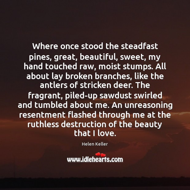 Where once stood the steadfast pines, great, beautiful, sweet, my hand touched Helen Keller Picture Quote