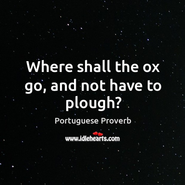 Where shall the ox go, and not have to plough? Portuguese Proverbs Image