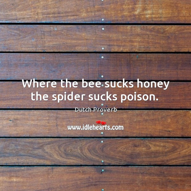 Where the bee sucks honey the spider sucks poison. Dutch Proverbs Image