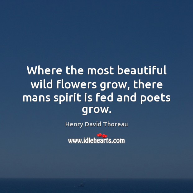 Where the most beautiful wild flowers grow, there mans spirit is fed and poets grow. Image