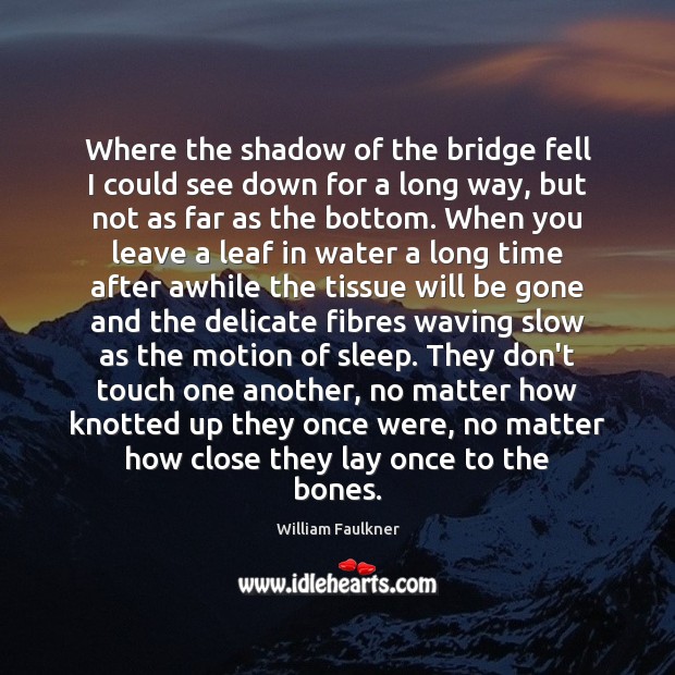 Where the shadow of the bridge fell I could see down for William Faulkner Picture Quote