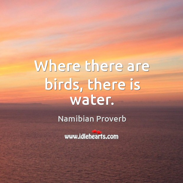 Where there are birds, there is water. Namibian Proverbs Image
