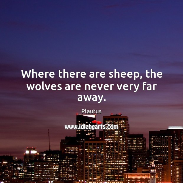Where there are sheep, the wolves are never very far away. Plautus Picture Quote