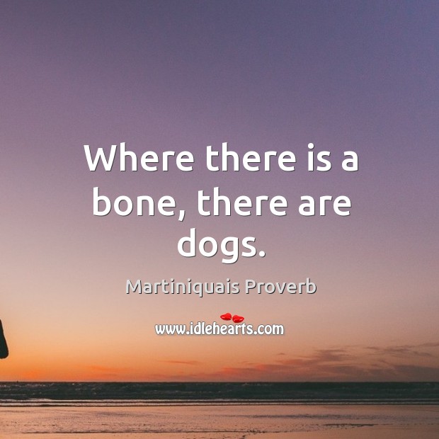 Where there is a bone, there are dogs. Martiniquais Proverbs Image