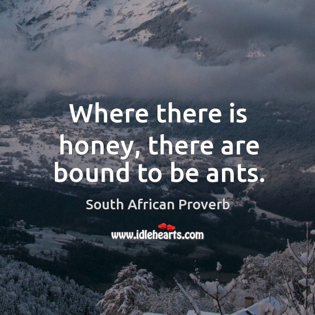 Where there is honey, there are bound to be ants. South African Proverbs Image
