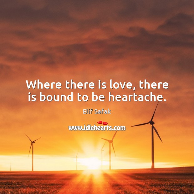 Where there is love, there is bound to be heartache. Elif Safak Picture Quote