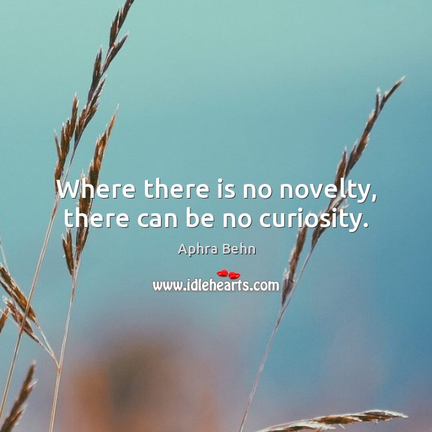 Where there is no novelty, there can be no curiosity. Image
