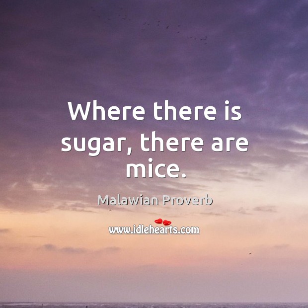 Where there is sugar, there are mice. Malawian Proverbs Image