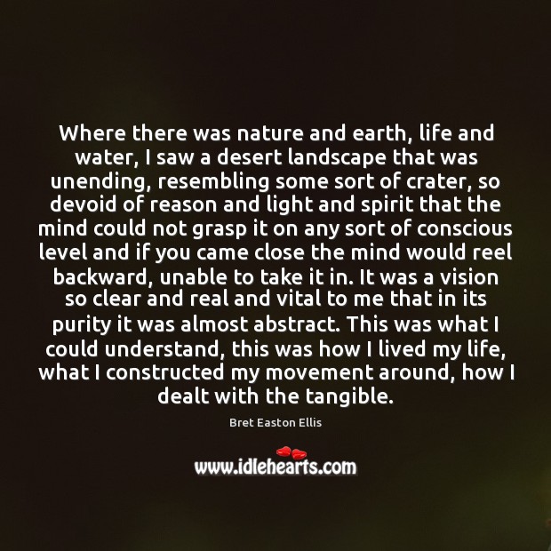 Where there was nature and earth, life and water, I saw a Bret Easton Ellis Picture Quote