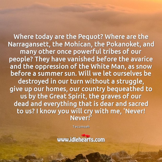 Where today are the Pequot? Where are the Narragansett, the Mohican, the Tecumseh Picture Quote